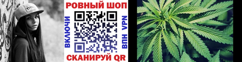 Сколько стоит Александровск A PVP  Меф  КОКАИН  ГАШИШ  ссылка на мегу ссылка  Каннабис  Псилоцибиновые грибы 