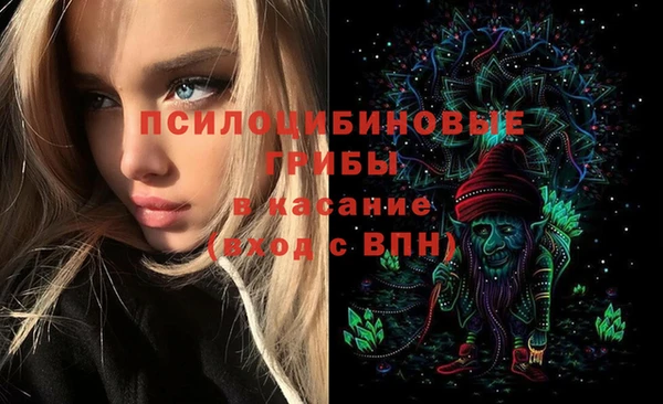 хмурый Абинск