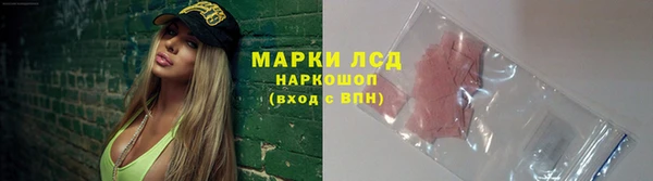 ГАЛЛЮЦИНОГЕННЫЕ ГРИБЫ Абаза