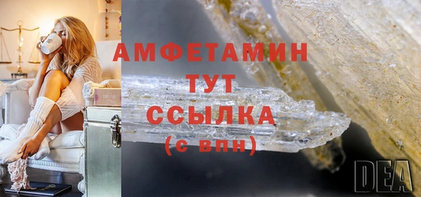 ГАЛЛЮЦИНОГЕННЫЕ ГРИБЫ Абаза