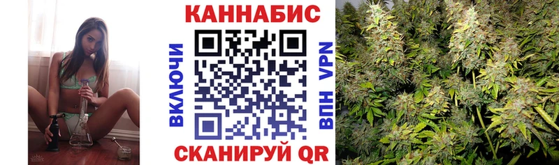 хочу   Александровск  Шишки марихуана сатива 